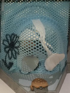 CYCLOTRON LE PATIENT PORTE UN MASQUE DE PROTECTION