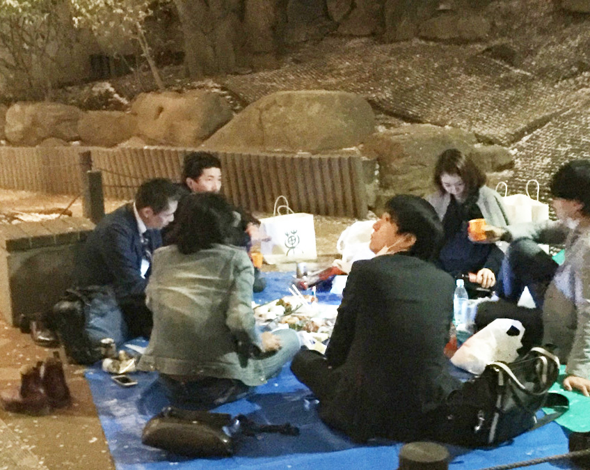 REUNION DE TRAVAIL SOUS LES CERISIERS