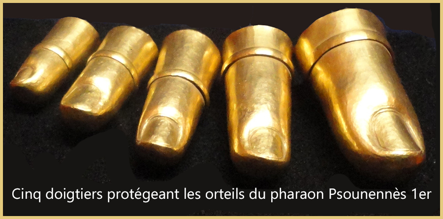 10-Cinq doigtiers protégeant les orteils du pharaon Psounennès 1er