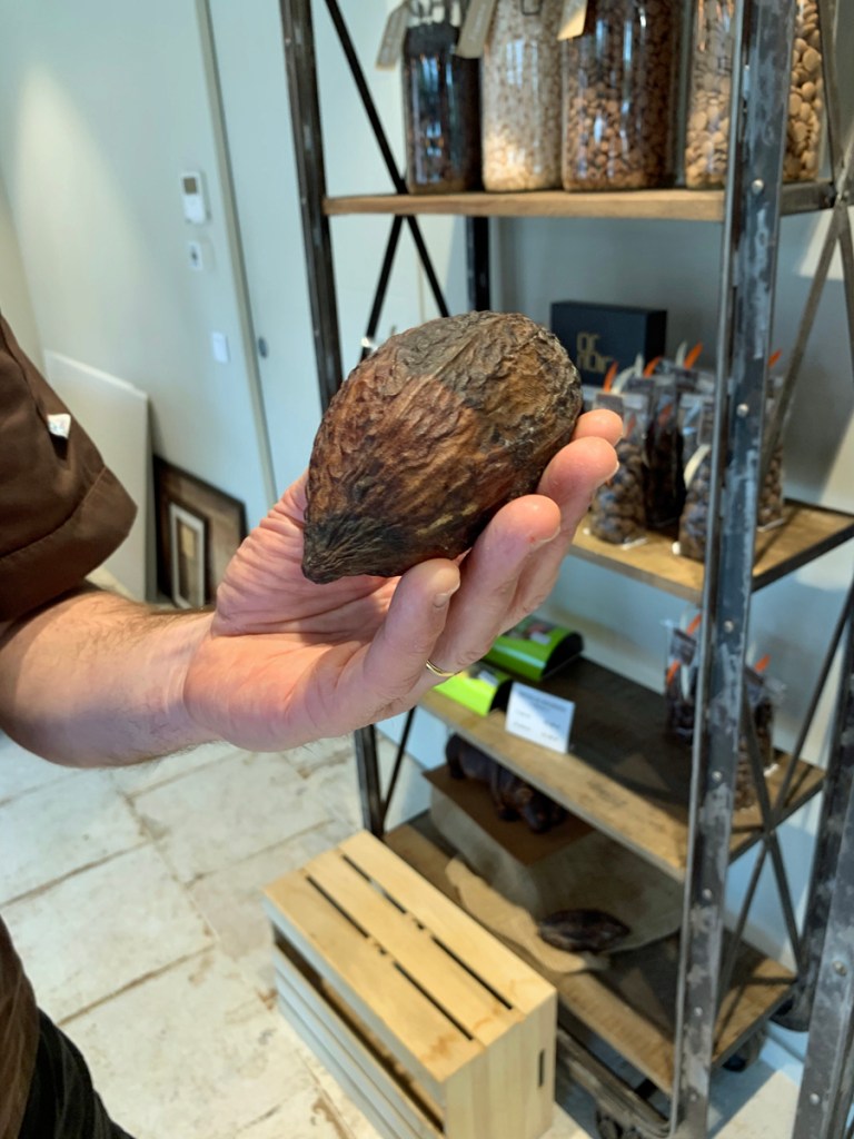 L'OISEAU D'OR 1--les étapes de la transformation du cacao