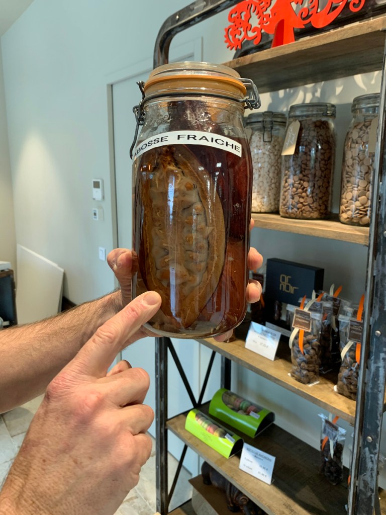 L'OISEAU D'OR 2 -les étapes de la transformation du cacao