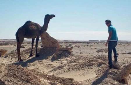 CASARELLA, ROSARIO AU mAROC