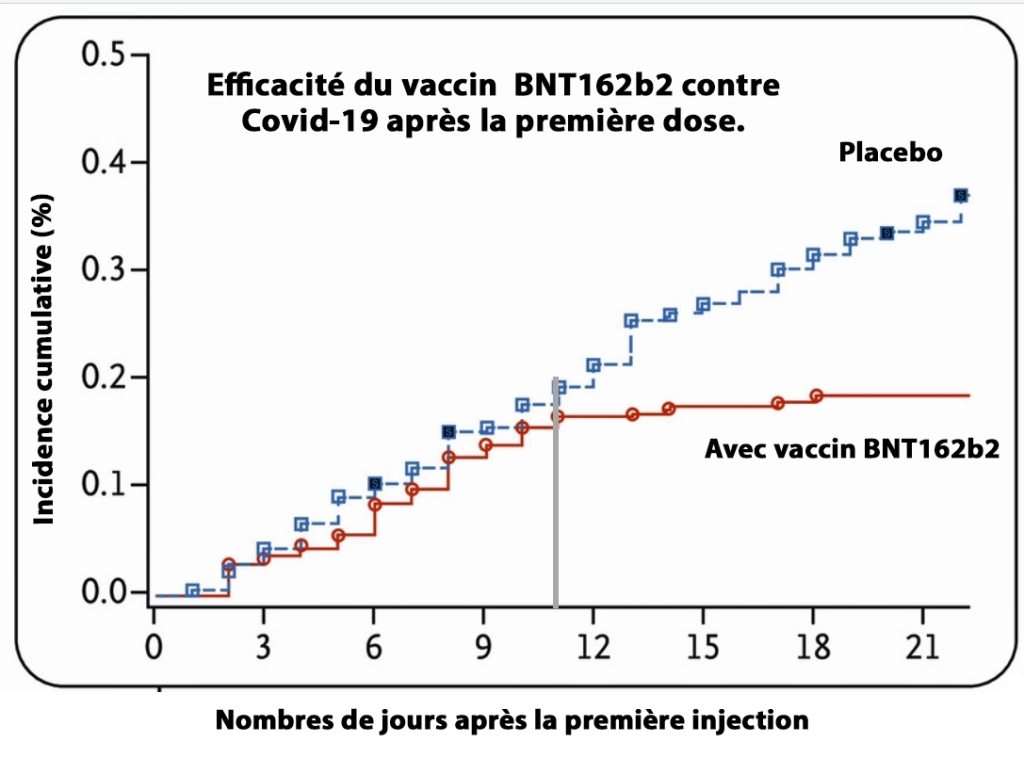 Efficacité du Vaccin  BNT162b2 (Pfizer) 21 jours