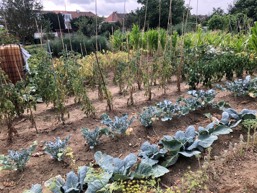LE SECRET VAN RINJ JARDIN POTAGER
