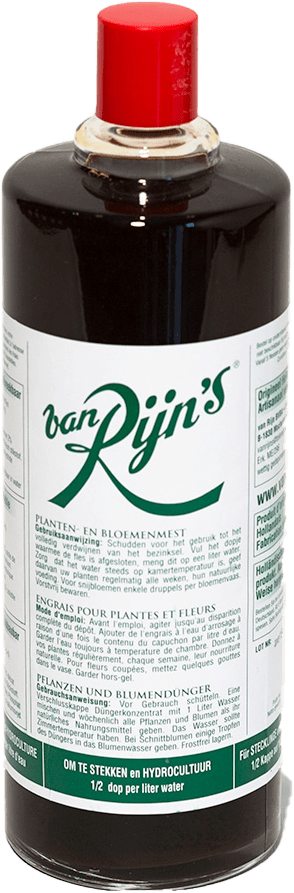 LE SECRET VAN RINJ Kees van Rijn BOUTIELLE ENGRAIS