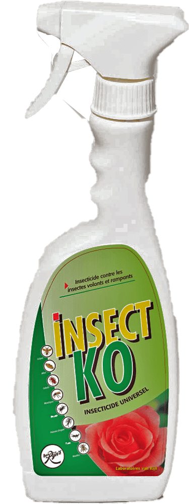 LE SECRET VAN RINJ Kees van Rijn INSECTE KO