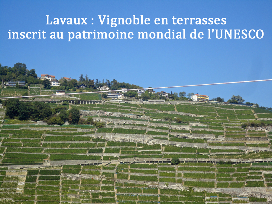THONON  croisière sur le lac léman les vignobles