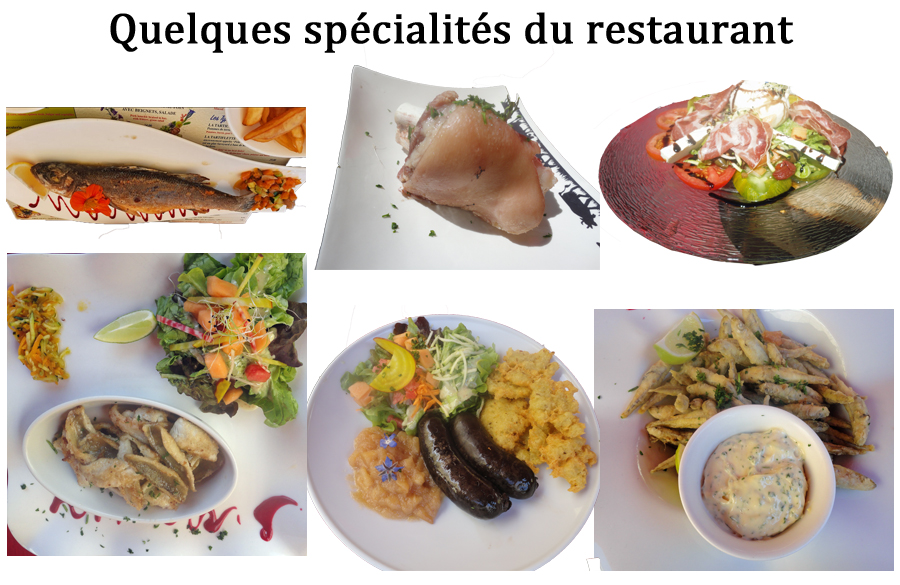 THONON  Lac de Montriond les Verdoyant