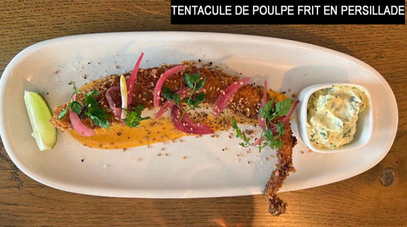 COBA NICE TENTACULE DE POULE EN PERSILLADE