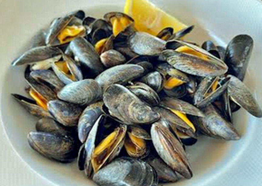 AMAREA ROMOLO moules natures