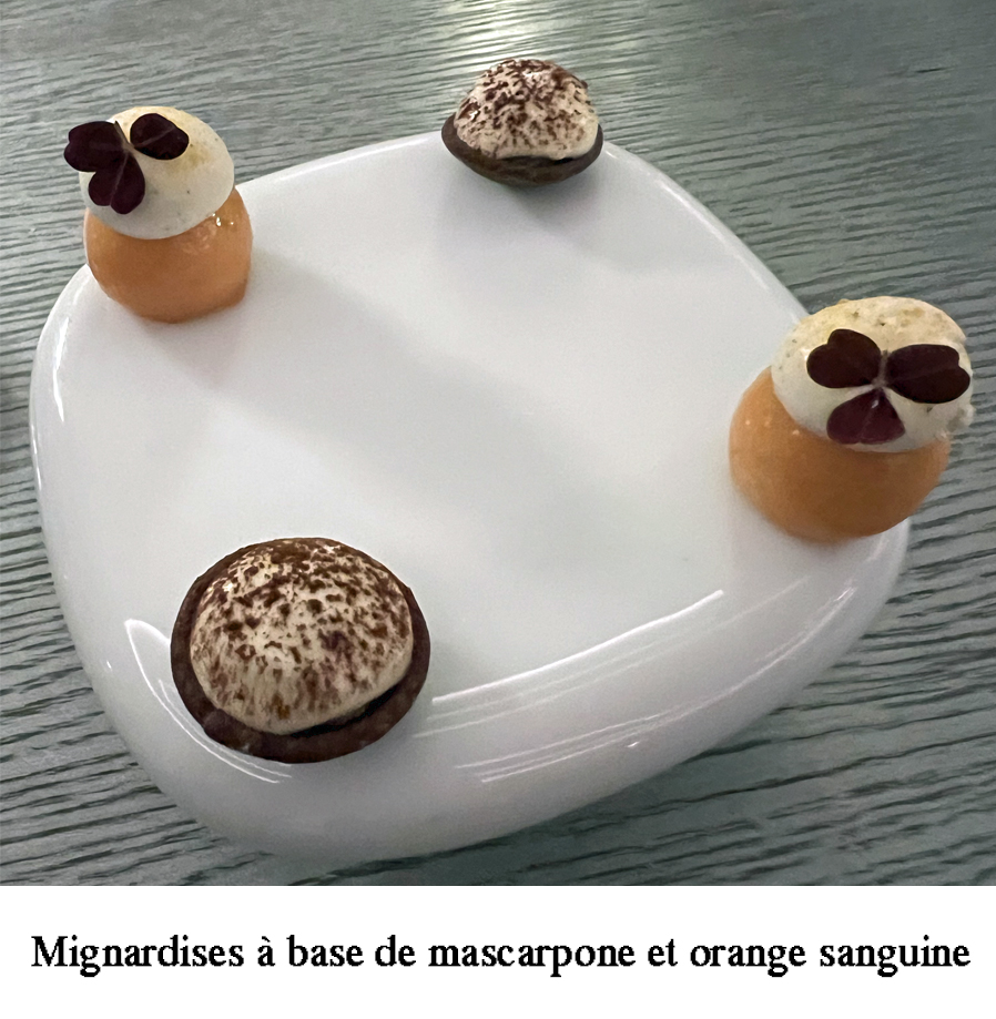 Le Jules Verne : Le miganrdises