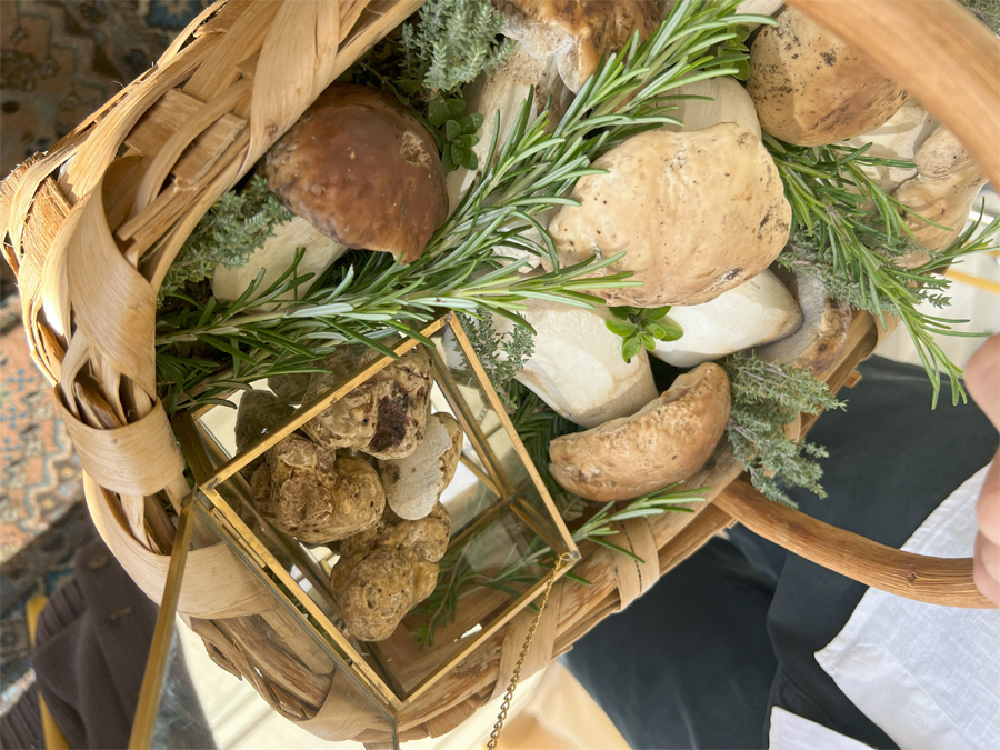 Marixx  présentation des cèpes et des truffes