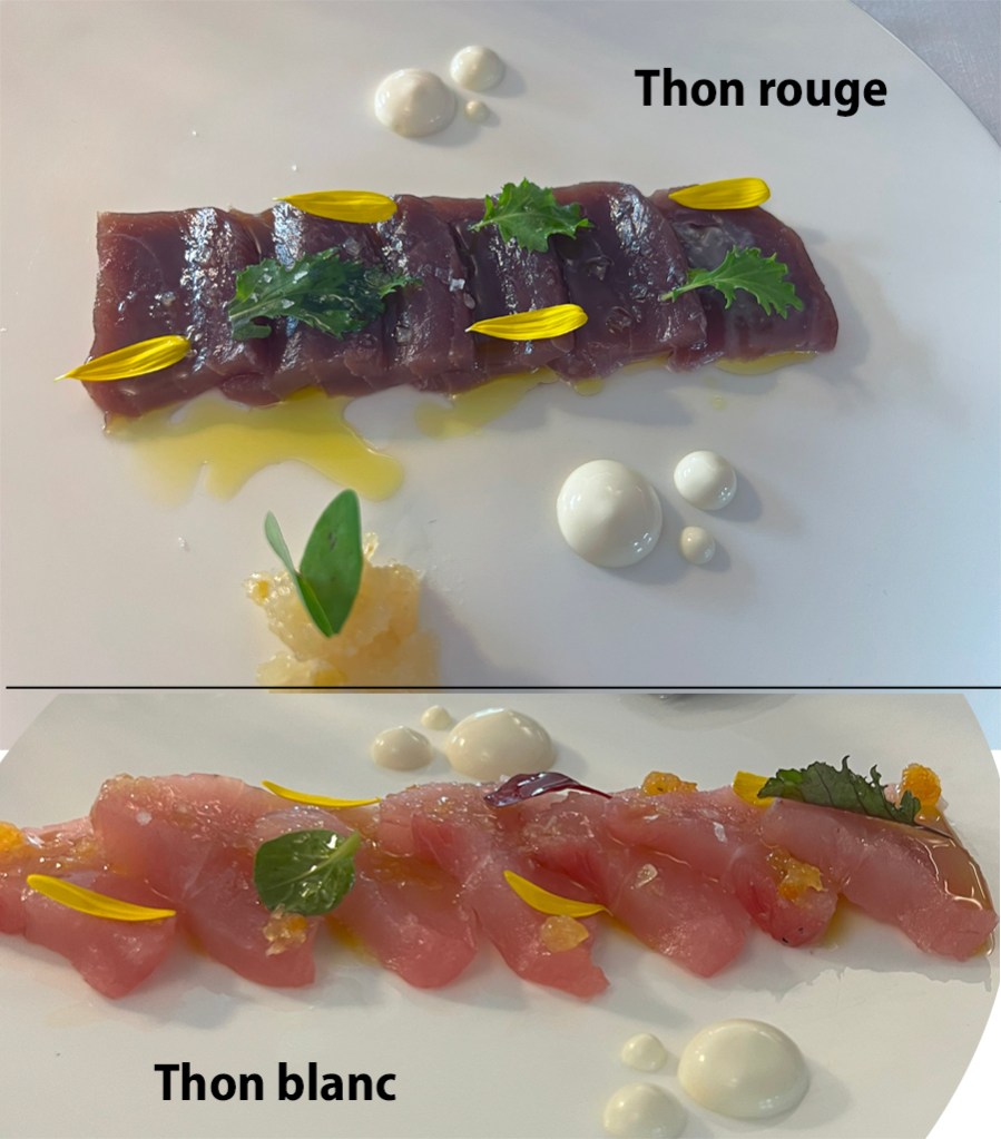 MARIXX THON ROUGE ET BLANC