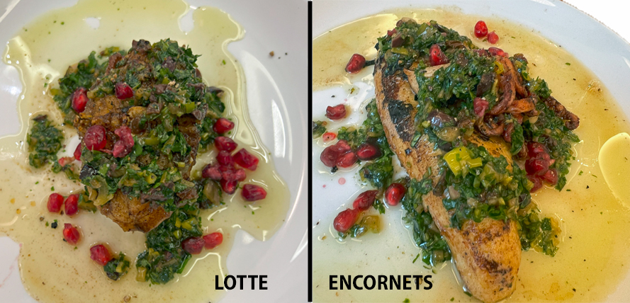 LLE SOCLE LOTTE ET ENCORNET