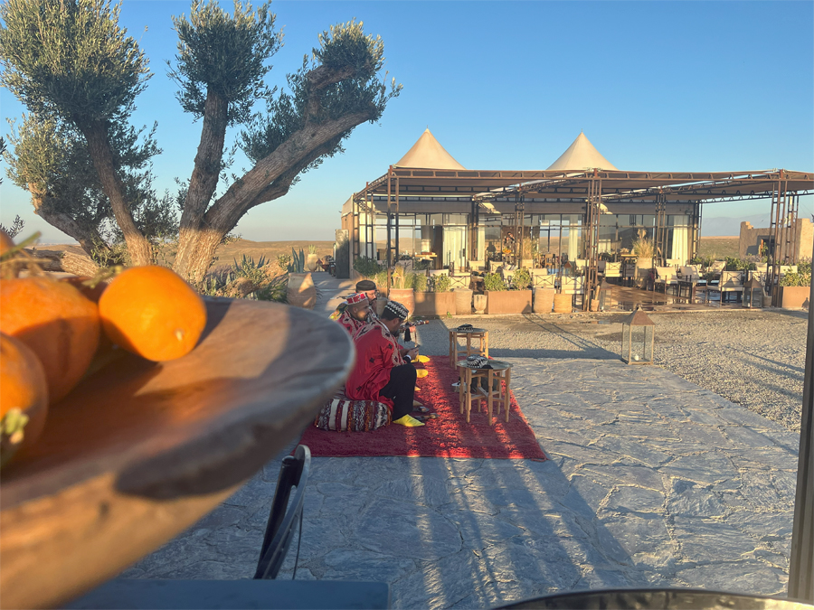 White Camel le coucher de soleil