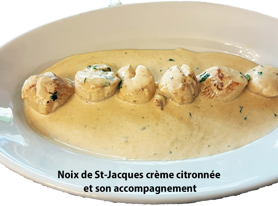 META E MAETA NOIX DE ST JACQUES CITRONNEES